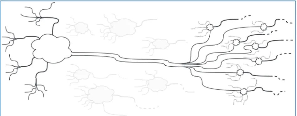 Figure 2.1. Neurons interconnecting.