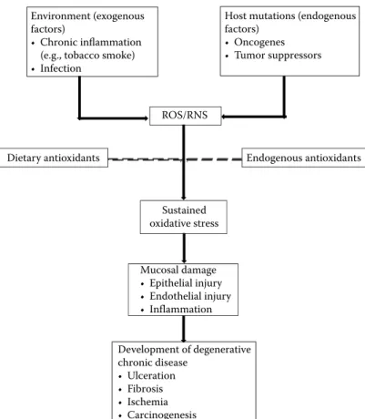 FIgure 6.1  Interaction of reactive oxygen species (ROS), reactive nitrogen species (RNS),  dietary  and  endogenous  antioxidants,  oxidative  stress,  and  degenerative  chronic  disease