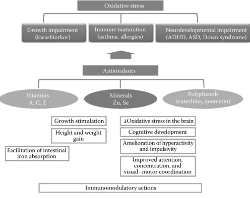 FIGure  4.2  Potential  impact  of  oxidative  stress  and  antioxidants  in  child  growth  and  development.