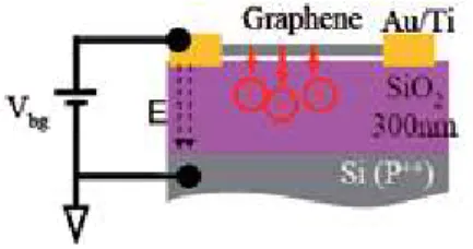 Figure 10. Diagram showing charge injection and Fermi modification of a graphene Schottky contact [43].