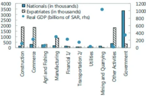 Fig. 3.1  Employment and Real GDP by sector (2016). (Source: IMF Article  IV (2017))