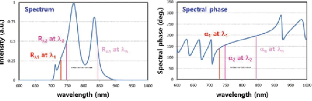 Figure 13. Spectrum and spectral phase for calculating the femtosecond focal spot.