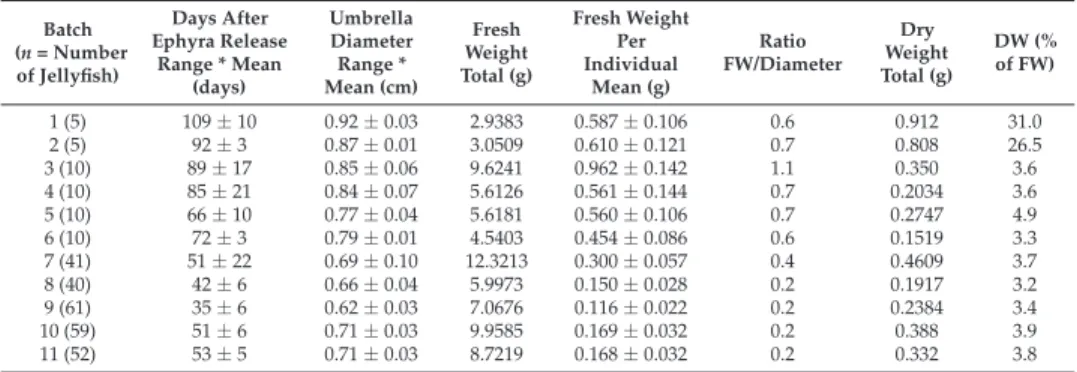 Table 1. Biometric measures, fresh and dry weights of the different batches of Rhizostoma luteum.