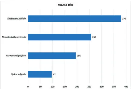 Figure 4. Blast2Go Species distribution chart. Number of blast hits (#BLAST Hits) retrieved are shown from the four cnidarian databases analyzed.