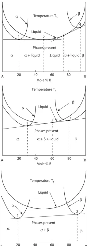 FIGURE 1.18 (Continued)  (c) Gibbs energy-composition diagram constructed from the phase diagram  in Figure 1.16 at T 3 