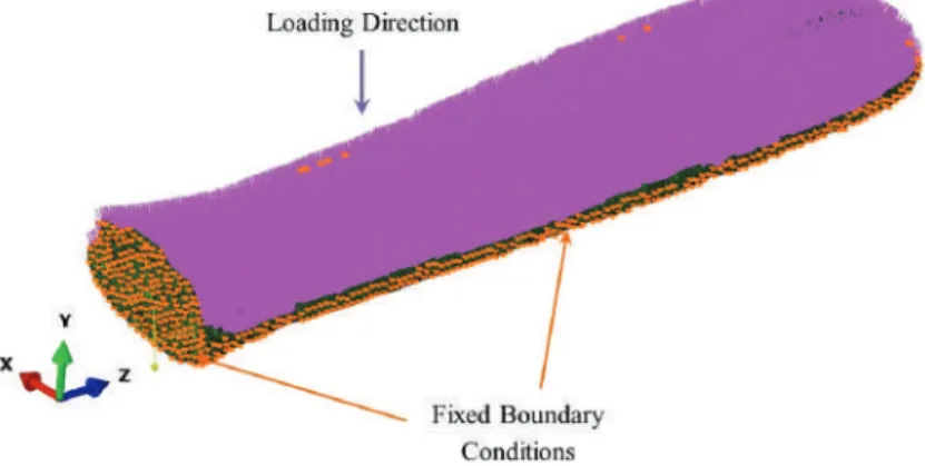 Figure 12. Force and displacement boundary conditions implemented on the rostrum.