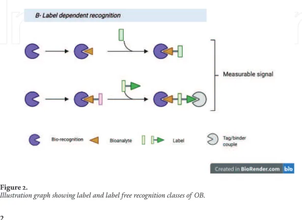 Illustration graph showing label and label free recognition classes of OB.