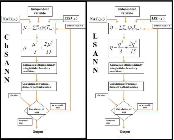 Figure 1. Model diagram of ChSANN and LSANN.