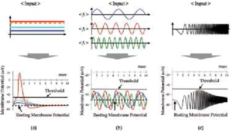 Figure 6. Subthreshold resonance phenomena. (a) DC inputs with different amplitudes, (b) AC inputs with different frequencies, and (c) a chirp current input whose frequency increases as time increases.