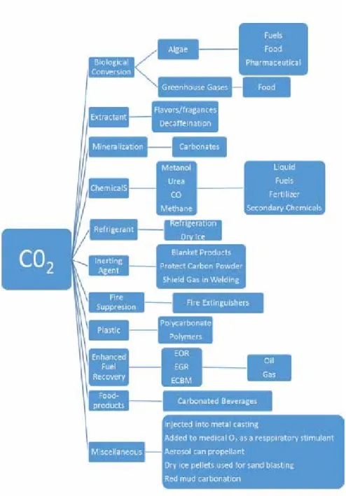Figure 11. CO 2  uses. Different pathways for utilisation CO 2 .