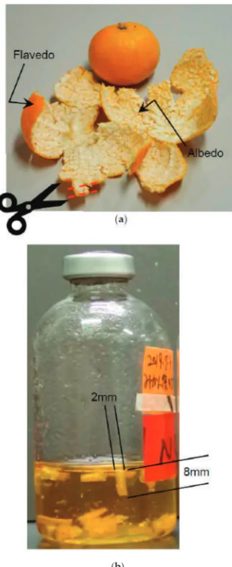 Figure 2. (a) Removed peel before cutting. (b) Strips of removed peel in the medium.