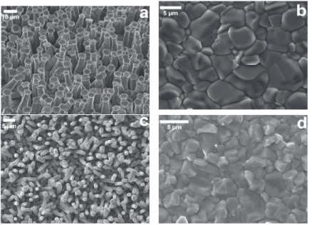 Figure 1. SEM images showing the effect of the substrate on wire growth. CdTe deposition was performed under identical growth conditions on: (a) SLG/Mo; (b) Mo Foil; (c) SLG; and (d) SLG/FTO/Mo.