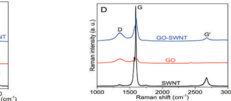 Figure 1. (A) UV-vis absorbance of diluted GO and GO-SWNT (weight ratio of 10:1) dispersions