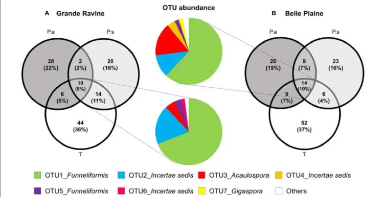 FIGURE 2 | Distribution of AM fungal OTUs shared among taro (T), Pterocarpus adult trees (P.a) and seedlings (P.s) in (A) Grande Ravine and (B) Belle Plaine forest sites