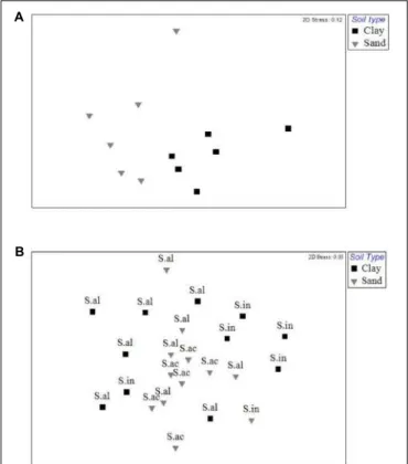 FIGURE 4 | (A) Non-metric multidimensional scaling ordination of the ECM fungal communities found on two different soil types at Lambir Hills National Park