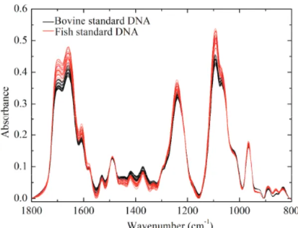Figure 1. FTIR spectra of calf and salmon DNA.