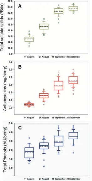 Figure 1. Box plots for total soluble solids (A), anthocyanins (B), and total polyphenols (C) during the four dates of the experimental study