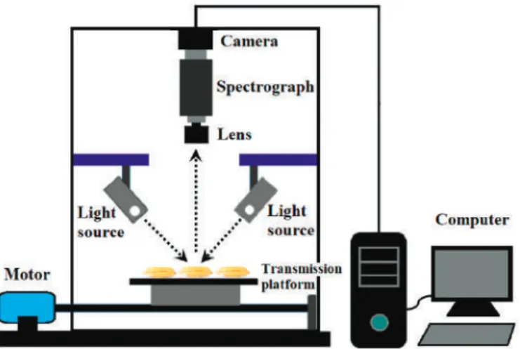 Figure 6. Schematic of line-scan near-infrared hyperspectral imaging (NIR-HSI) system and scanning of seed samples.