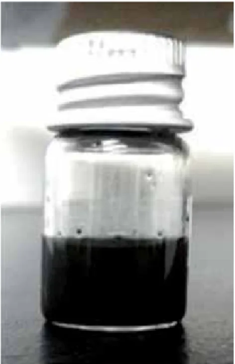 Figure 10 shows a suspension of CNT that can be used as a coating, paint or  adhesive when mixed in production with an appropriate carrier material