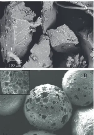 Figure 1 shows the scanning electron micrographs (SEM) of tyre rubber grains and of PG beads.