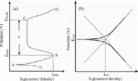 Figure 1. A schematic diagram of potentiodynamic polarization: (a) the theoretical anodic polarization curve, (b) the calculation of corrosion potential and corrosion current density.