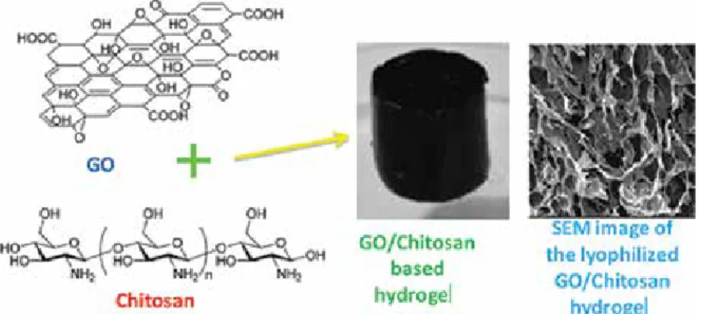 Figure 7. Photograph of GO/chitosan hydrogel and its SEM image. Reproduced from [107] with the permission from RSC.