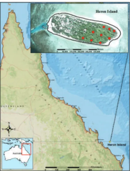 Figure 1. Heron Island study area (inset) in the context of the northeast Australia. Nine lichen monitoring plots (red dots) were selected using a systematic grid overlaid on the Capricornia Cays National Park (eastern) part of the island