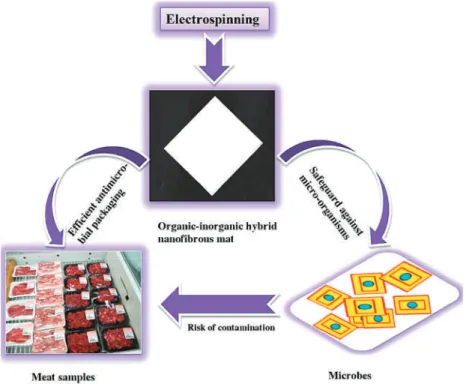 Figure 8. Electrospun hybrid mats; its antimicrobial concept and projected future applications as packaging material for meat and meat-based products [117]