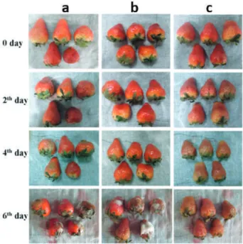 Figure 11. Appearance changes of strawberries stored at 21 ◦ C. (a) Control; (b) packed with fresh-keeping ﬁlm and (c) packed with PVA/cinnamon essential oil /b-CD nanoﬁlm [141]