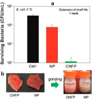 Figure 15. (a) In situ antibacterial activity of CNFP against E. coli after 7-day storage at 4 ◦ C.