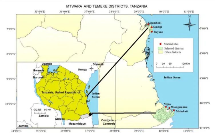 FIGURE 1 | Sampling villages in Temeke and Mtwara districts, Tanzania.