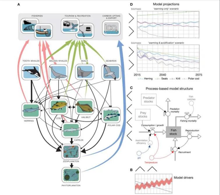 FIGURE 1 | Structure, drivers, and exemplified projections of the developed system dynamics model