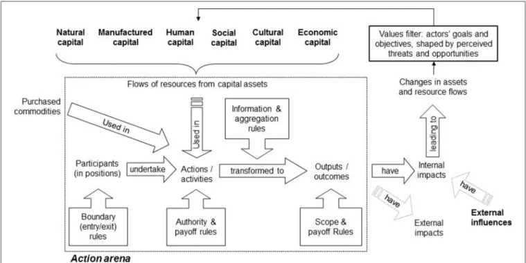 FIGURE 1 | Basic action arena framed in terms of capital assets and resource flows (adapted from Rudd, 2004).