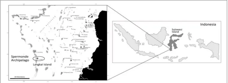 FIGURE 1 | Langkai Island, South Sulawesi, Indonesia.