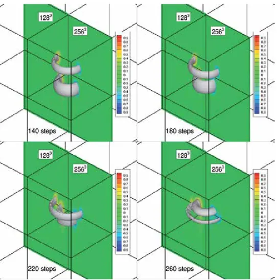 Figure 2 shows an example of a VIC simulation of two leapfrogging vortex rings,  i.e., flow structures of fundamental importance in fluid mechanics