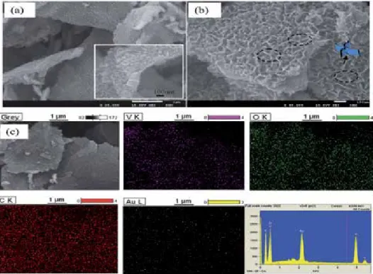 Figure 6 presents field emission scanning electron microscopy (FE-SEM) and  transmission electron microscopy (TEM) images of the V 2 O 5  nanosheets/CNTs  nanocomposite as reported by Wang et al