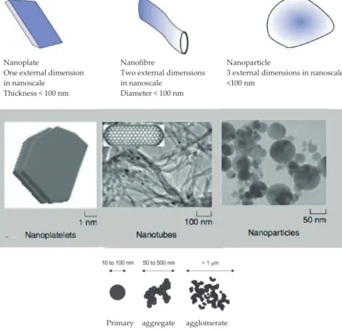 Figure 1. Representative images for nanoﬁllers for nanocomposites. adapted from [17–19].