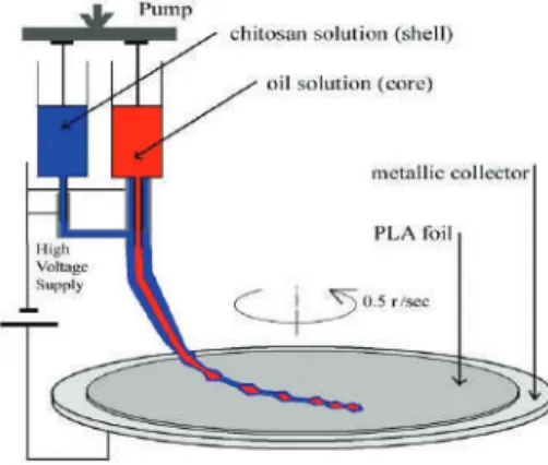 Figure 1. The coaxial electrospinning set-up used for coating the polylactic acid (PLA) foils