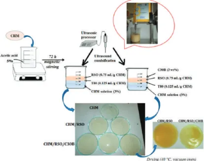 Figure 1. Schematic representation of the rosehip seed oil/C30B encapsulation into chitosan matrix by emulsion/solvent casting method.