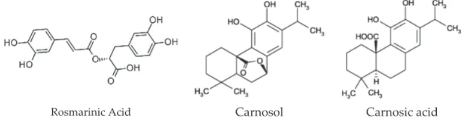 Figure 1. Chemical structure of the major antioxidative compounds in rosemary extracts.