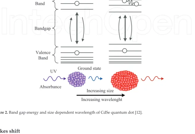 Figure 2. Band gap energy and size dependent wavelength of CdSe quantum dot [12].