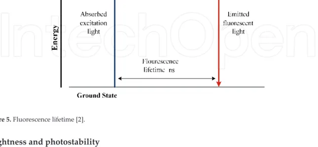 Figure 5. Fluorescence lifetime [2].