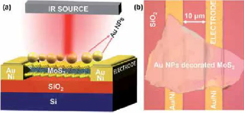 Figure 6 shows the morphology of as-prepared materials was characterized  using an AFM. As shown in Section A1 in Figure 6a, b, it indicates the thickness of 