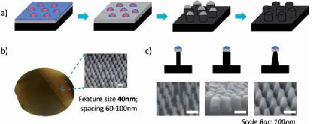 Figure 8 shows another case of similarly obtained nanopillars arrays prepared using 