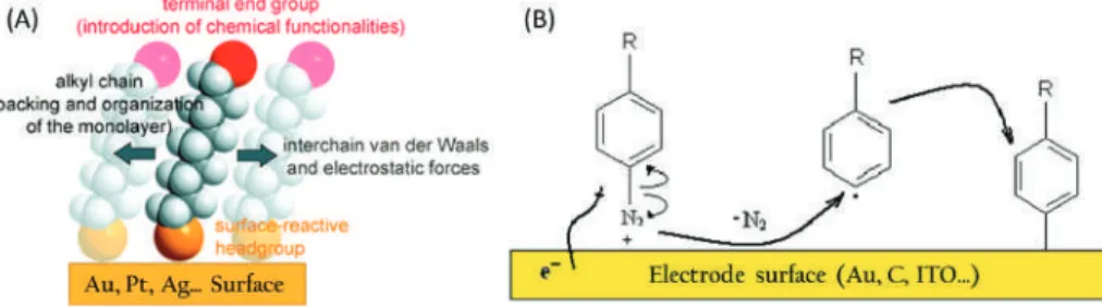 Figure 4. Representation of (A) self-assembled monolayer [83] and (B) scheme for electrografting of diazonium salts on electrode surfaces (Au, C or Indium Tin Oxide (ITO)) with alterable terminal chemical functionality.