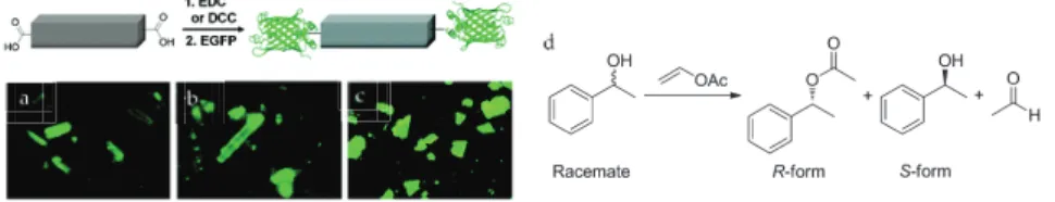 Figure 1. Schematic representation of the bioconjugation of the 1D-polymer, [(Et 2 NH 2 )(In(pda) 2 )] n , with EGFP