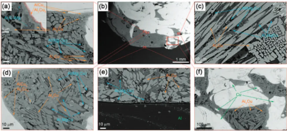 Figure 4. The SEM BSE images of SZ microstructures after a single-pass FSP on the Al-Cu sandwich: