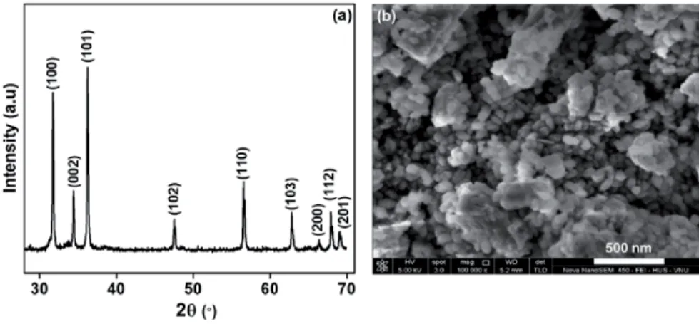 Figure 1 shows XRD and microstructure image (measured by D8 Advance,  Bruker AXS, and Nova NanoSEM 450-FEI, respectively) of the obtained ZnO  powder after annealing at 250°C for 1 h.