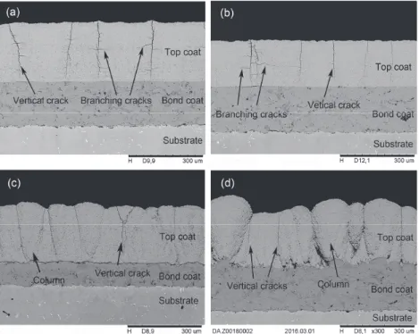 Figure 1. Cross-section SEM image of as sprayed YSZ top coats (Samples A, B, C, and D) deposited at a standoff distance of 70 mm, on BC with different surface treatments: (a) mirror polishing; (b) grinding;