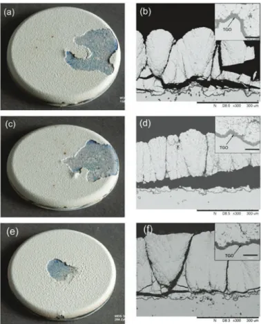 Figure 8. Photographs of thermally-cycled samples: (a) Sample M, (c) Sample N, and (e) Sample O; and cross-section SEM images of thermally-cycled samples: (b) Sample M, (d) Sample N, and (f) Sample O.